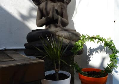 Bouddha et plantes dans patio